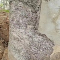 聚合物砂漿 粘鋼膠 植筋膠 灌漿料 修補料